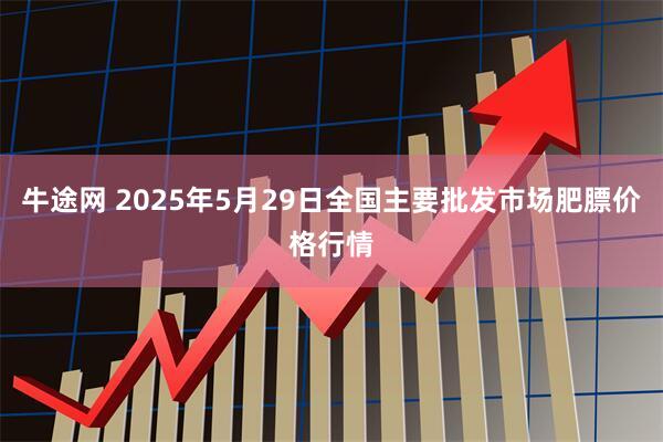 牛途网 2025年5月29日全国主要批发市场肥膘价格行情