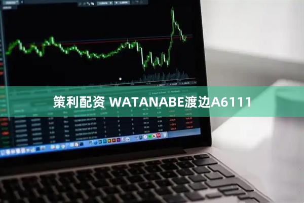 策利配资 WATANABE渡边A6111