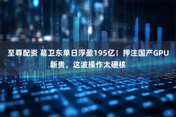 至尊配资 葛卫东单日浮盈195亿！押注国产GPU新贵，这波操作太硬核